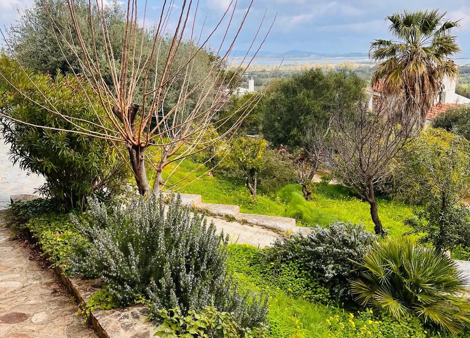 Affittacamere Villa Flores Lu Lioni